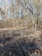 1 3512 Cr Tract 1, Clarksville,  72830