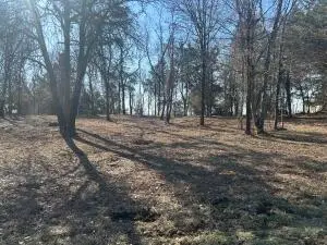 536 Leonard Lane, Pottsville, AR 72858 - Image #3