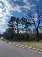 402 Castlegate Loop, Russellville, AR 72802 - Image #1