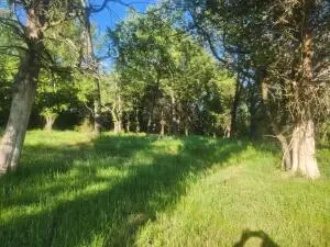 Tract 3 Castleberry Lane, Lamar, AR 72846 - Image #3