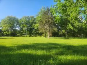 Tract 4 Castleberry Lane, Lamar, AR 72846 - Image #1