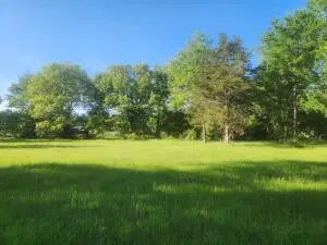 Tract 7 Castleberry Lane, Lamar, AR 72846 - Image #2