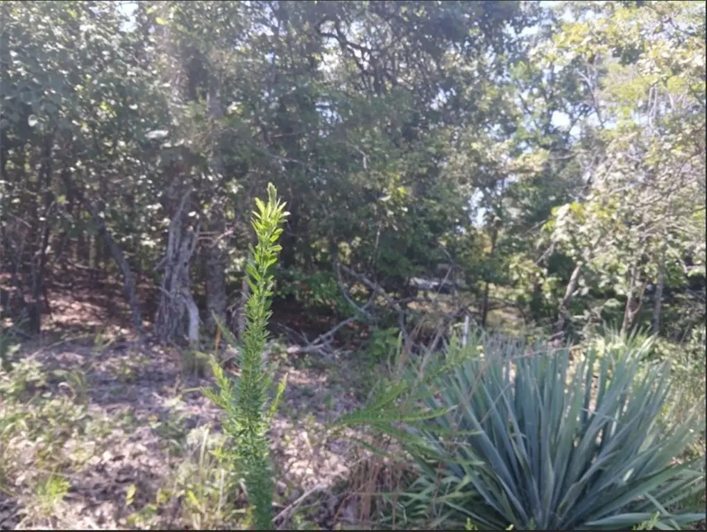 Highland Blvd S, Briarcliff, AR 72653 - Image #1