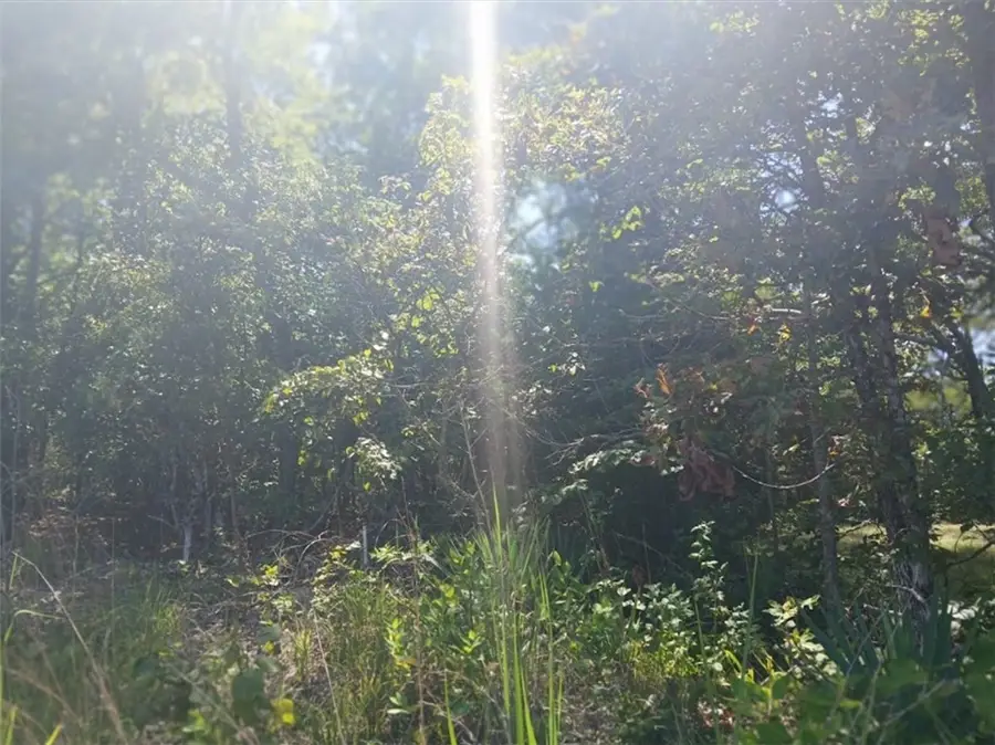 Highland Blvd S, Briarcliff, AR 72653 - Image #2