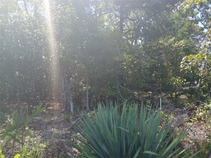 Highland Blvd S, Briarcliff, AR 72653 - Image #3