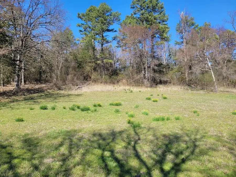2 Acres on Melton Road, Briggsville, AR 72828 - Image #2