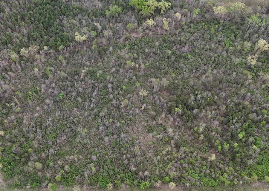 11.32 acre County Road 2228 (a), Hartman, AR 72840 - Image #3