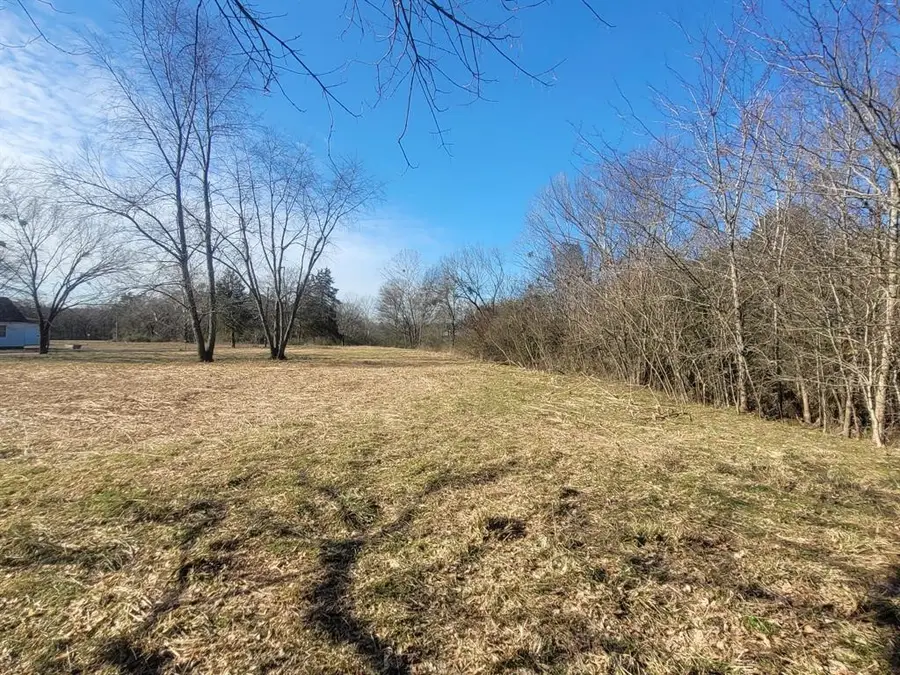 Land on Melton Road, Briggsville, AR 72828 - Image #3