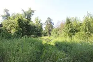 000 Capps Road, Harrison, AR 72601 - Image #1