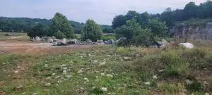 29423 Hwy 123, Western Grove, AR 72685 - Image #1