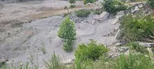 29423 Hwy 123, Western Grove, AR 72685 - Image #2