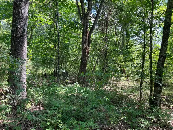 5.49 Acres On Meadow Creek Drive, Harrison, AR 72601