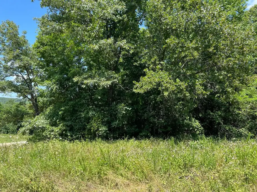 5.49 Acres On Meadow Creek Drive, Harrison, AR 72601 - #3