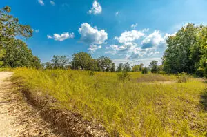 Tract 1 Mc 8025, Peel, AR 72668 - Image #2