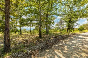 Tract 5 Mc 8025, Peel, AR 72668 - Image #2