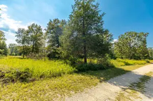 Tract 7 Mc 8025, Peel, AR 72668 - Image #2