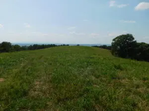 Mt Hersey Road, Western Grove, AR 72685