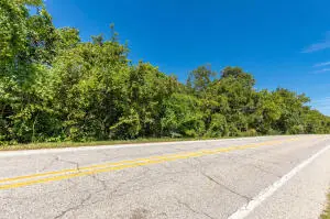 Old Capps Road, Harrison, AR 72601 - Image #3