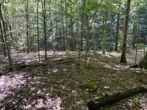 Nc 7540, Deer, AR 72628 - Image #3