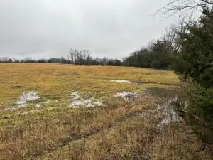 Tract 13 Hwy 392, Harrison, AR 72601 - Image #2