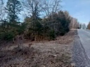 19641 Stonington Road, Omaha, AR 72601