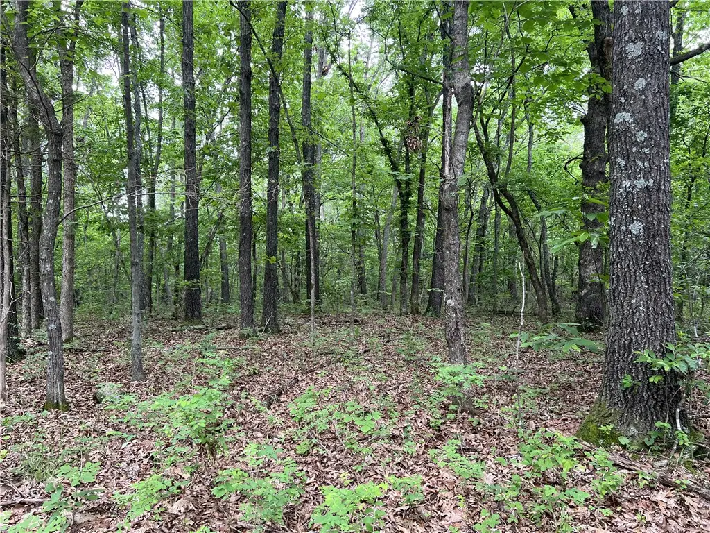 12 Acres On Meadow Creek Drive, Harrison, AR 72601 - #1