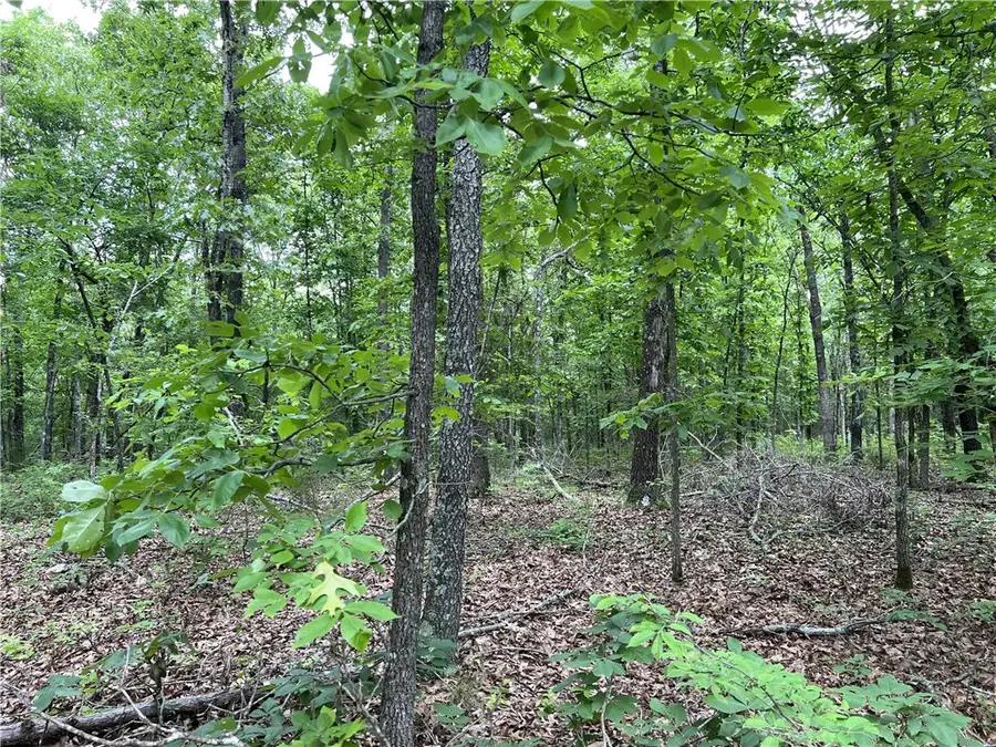 12 Acres On Meadow Creek Drive, Harrison, AR 72601 - #2