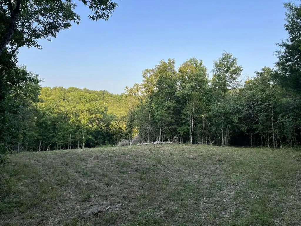 Cedar Creek Drive, Harrison, AR 72601 - #1