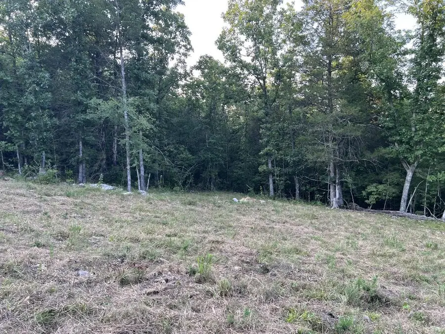 Cedar Creek Drive, Harrison, AR 72601 - #3