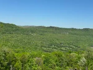 Tract I Ar 7 South, Jasper, AR 72641 - Image #2