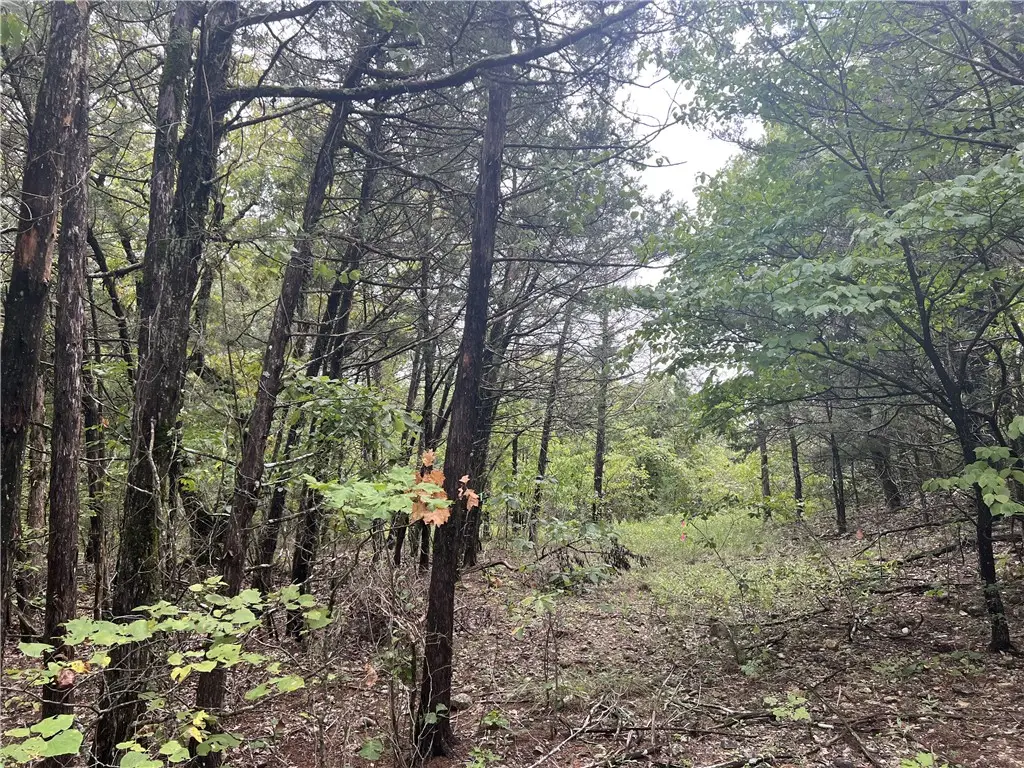 Grassy Gap Road, Harrison, AR 72601 - Image #1