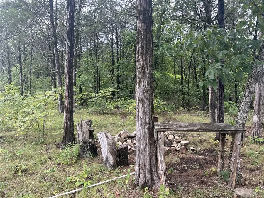 Grassy Gap Road, Harrison, AR 72601 - Image #3