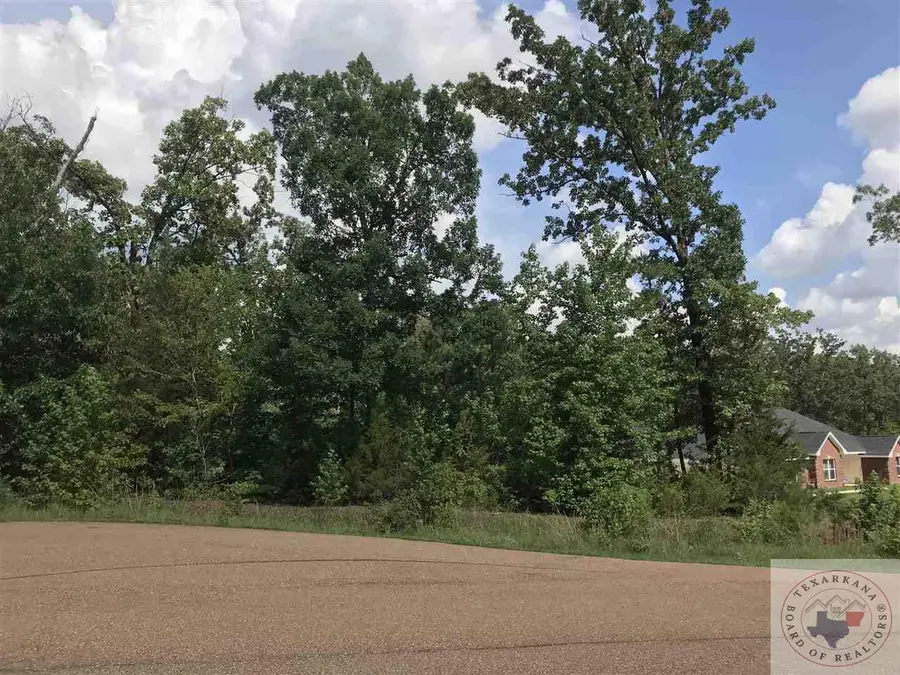 TBD (604 Stoneridge, Queen City, TX 75572 - Image #2