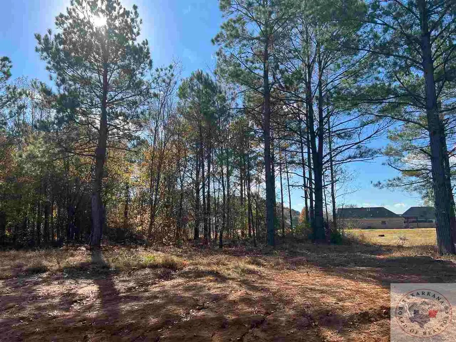 8109 Gadwall Trail, Texarkana, TX 75503 - Image #3