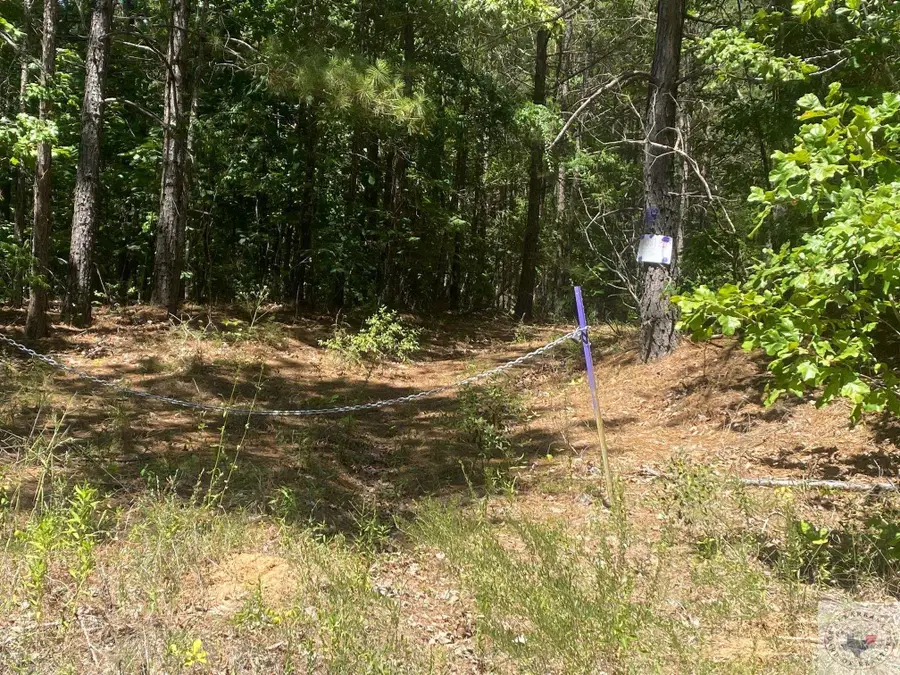 0 County Road 4507, Dalby Springs Simms, TX 75559 - Image #2