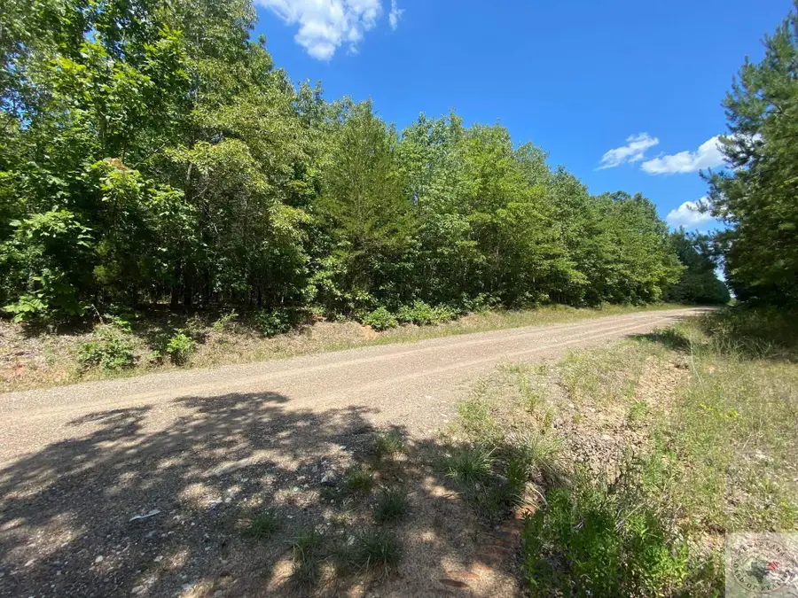 0 County Road 4507, Dalby Springs Simms, TX 75559 - Image #3