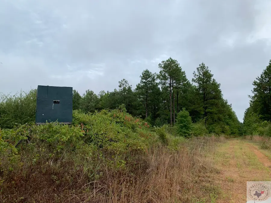 TBD Cr 2339, Marietta, TX 75566 - Image #2