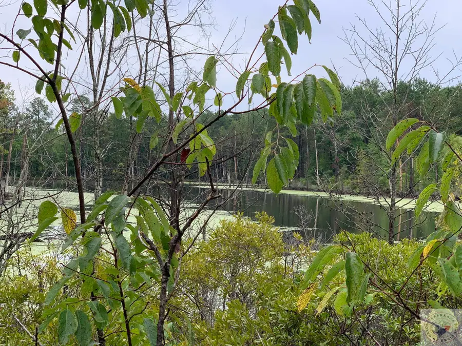 TBD Cr 2339, Marietta, TX 75566 - Image #3