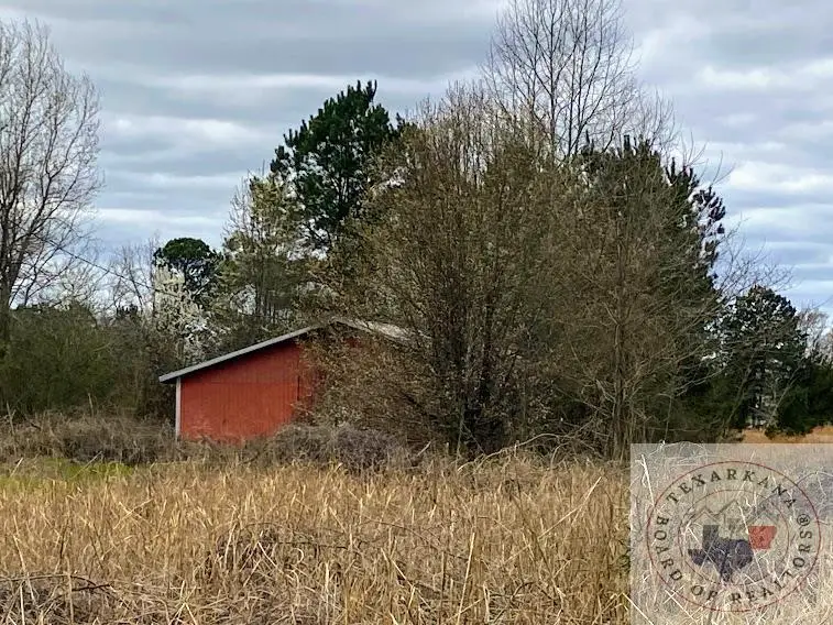 299 Hwy 59, Queen City, TX 75572 - Image #2