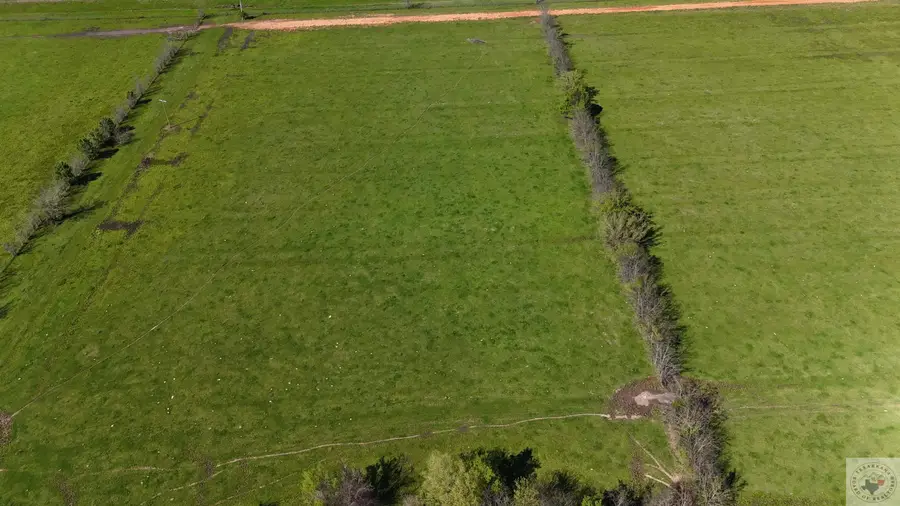 732 Springer Road, Texarkana, AR 71854 - Image #2