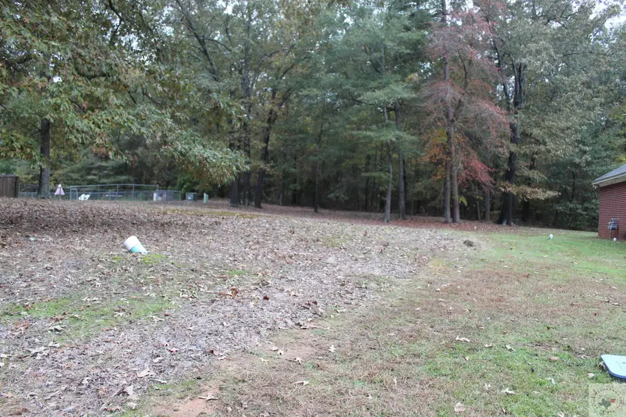 303 Peter Alan, Nash, TX 75569 - Image #2