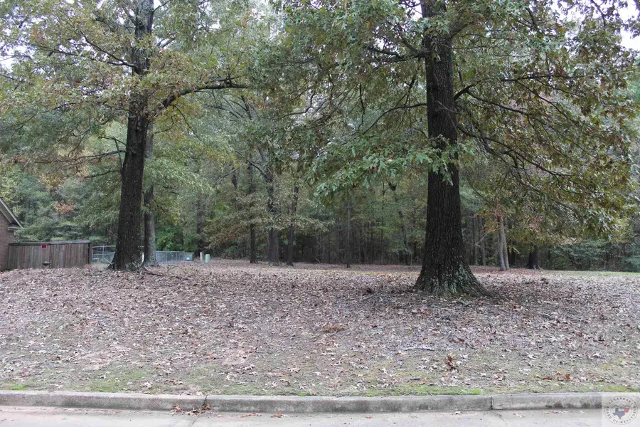 303 Peter Alan, Nash, TX 75569 - Image #3