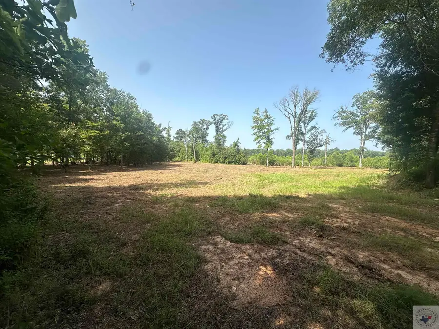 TBD Fm 248, Bivins, TX 75555 - Image #2