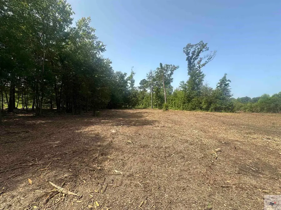 TBD Fm 248, Bivins, TX 75555 - Image #3