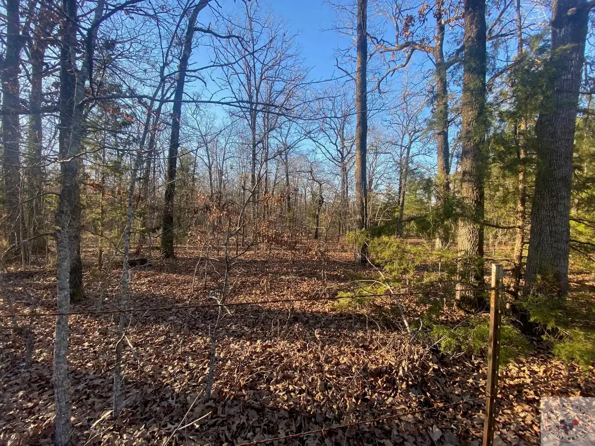 TBd Cr 4507, Dalby Springs Simms, TX 75559 - Image #1