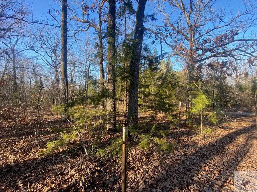 TBd Cr 4507, Dalby Springs Simms, TX 75559 - Image #2