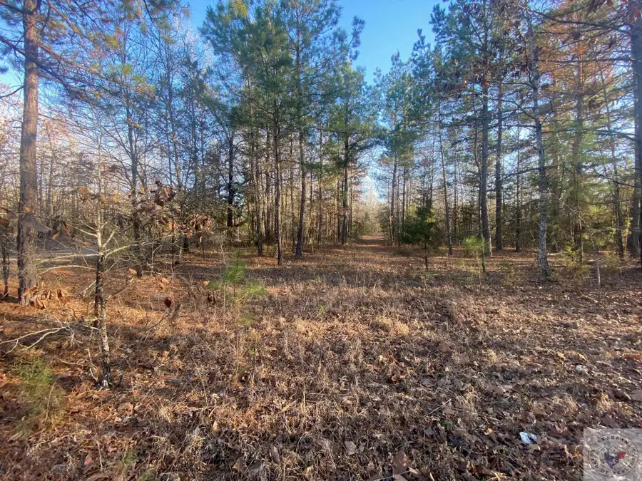 TBd Cr 4507, Dalby Springs Simms, TX 75559 - Image #3
