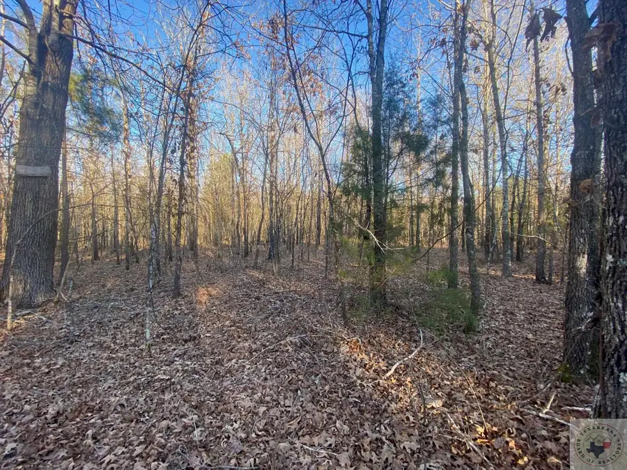 TBD Cr 4507, Dalby Springs Simms, TX 75559 - Image #2