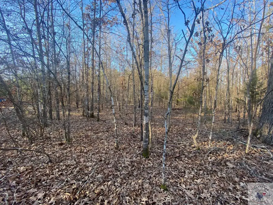 TBD Cr 4507, Dalby Springs Simms, TX 75559 - Image #3