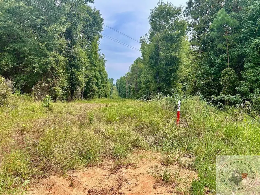 TBD Cr 4339, Bivins, TX 75555 - Image #2